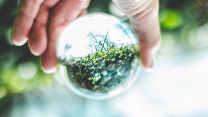 pexels-photo-2534493 pexels-photo-2534493